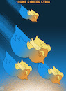 Cartoon: Trump Strikes Syria (small) by NEM0 tagged tweet,twitterer,donald,trump,tomahawk,missiles,strike,syria,bachar,assad,civil,war,chemical,attack,syrian,russia,china,iran,army,military,us,navy,bgm109,wwiii,nemo,nem0